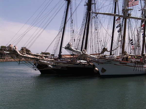 tall_ships05.jpg