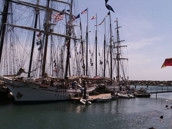 tall_ships06.jpg
