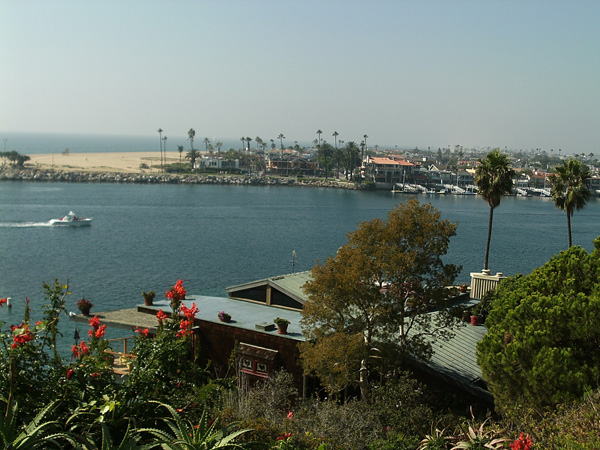 IMAG0014.jpg