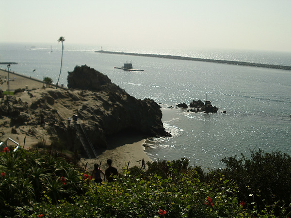 IMAG0017.jpg