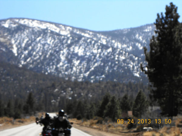 600_217564112.jpg