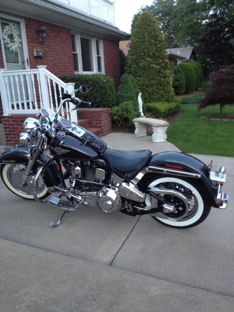 bike4.jpg